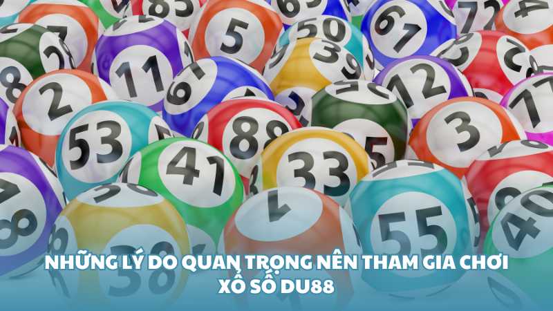 Những lý do quan trọng nên tham gia chơi xổ số Du88