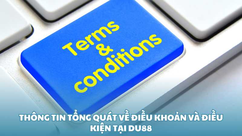 Thông tin tổng quát về điều khoản và điều kiện tại Du88