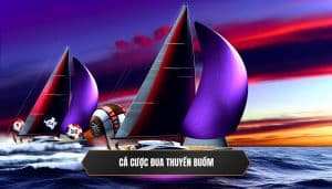 Cá cược đua thuyền buồm